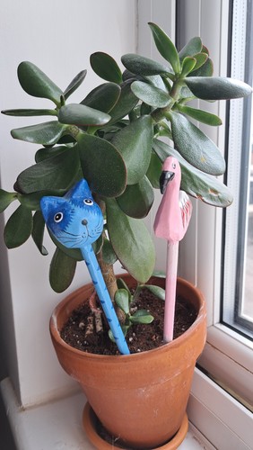 Wooden indoor plant - wooden,