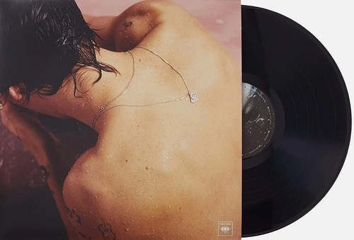 Harry styles - harry,