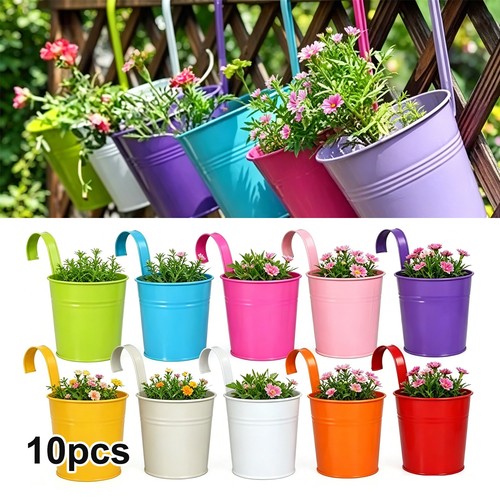 10x metal hanging - 10x, plant