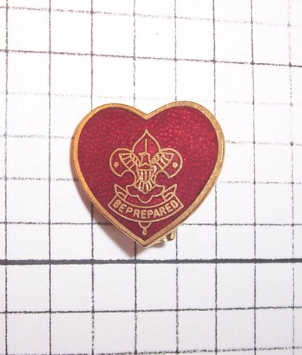 Bsa boy scouts star life - boy,