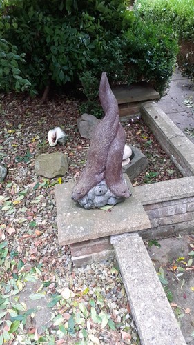 Intertwined otters which - 2,