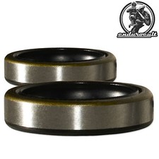 Sealing Rings for PDS Bearings
