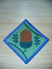 Current UK Scouting Explorer Scout Young Leader Scheme Module A Uniform Badge 