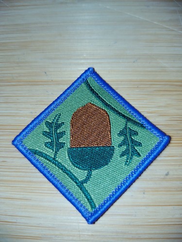 Current scouting explorer - current, uk
