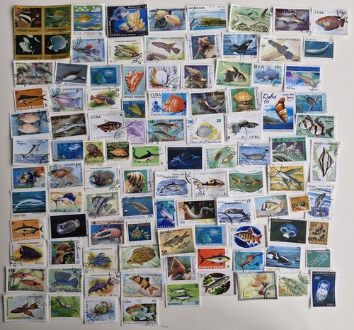 Fish sea life - sea,
