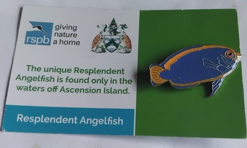 Rspb pin badge a - rspb,