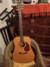Cort Aj860 Classical Acoustic