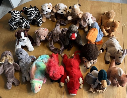 Beanie teddies plush - teddies,