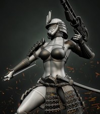 Stormtrooper Samurai | Star