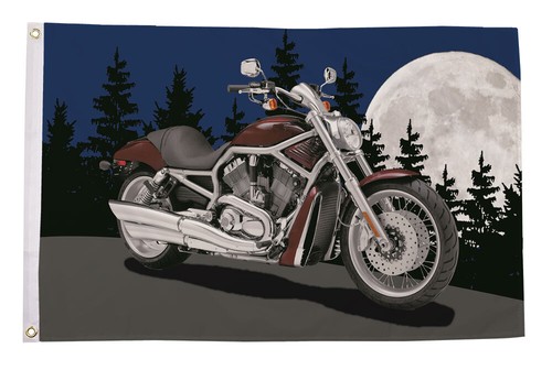 Motorcycle night scene flag - night,