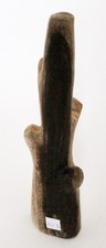 Fossil Wood Petrified wood
