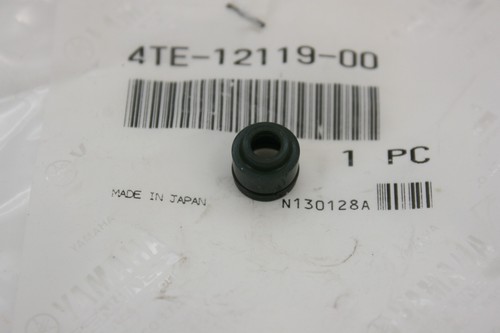 Valve stem seal oil - valve,