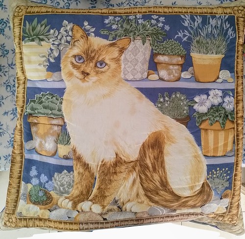 Lovely vintage birman - vintage, cat