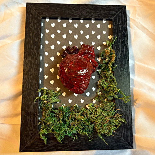 Handmade framed anatomical - handmade,