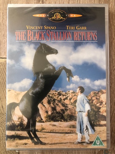 Black stallion returns the - stallion, returns,