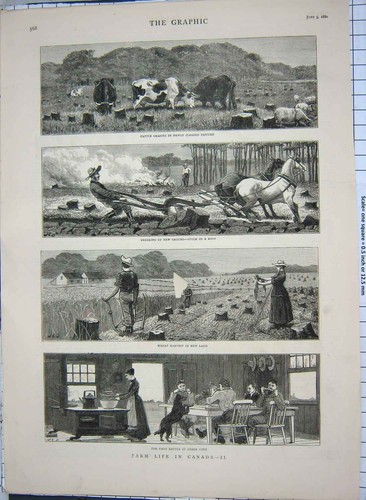 Old antique print 1880 farm - antique,