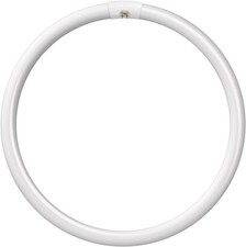 Circular fluorescent tube - fluorescent,