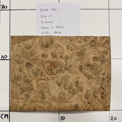 Burr oak veneer - oak, 19cm