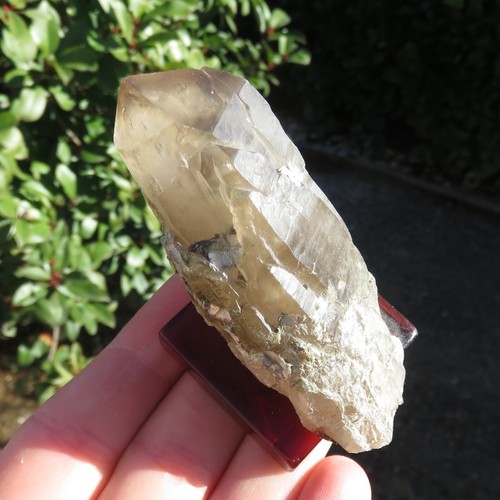 Minerals smoky quartz - minerals, ***