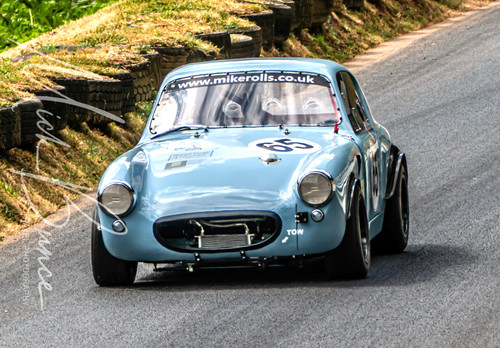 Wall art austin healey - wall,