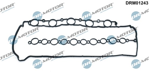Gasket cylinder head cover - cylinder,
