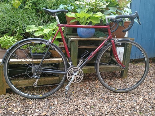 Dawes audax touring bike - bike,