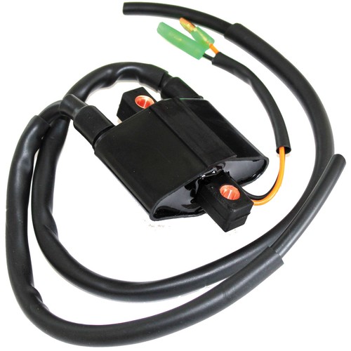 Ignition coil for - for, arctic