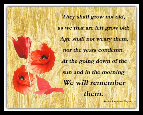 They shall not grow old - grow, poppy