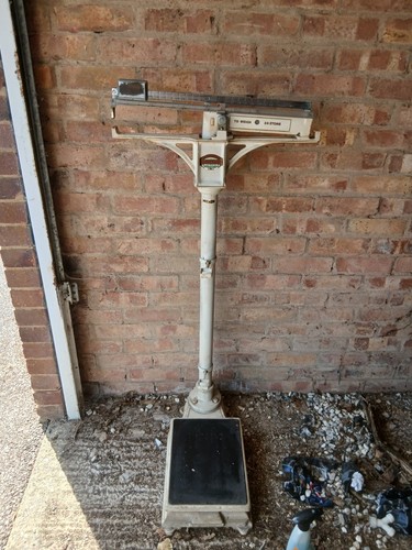 Balance scales large - balance,