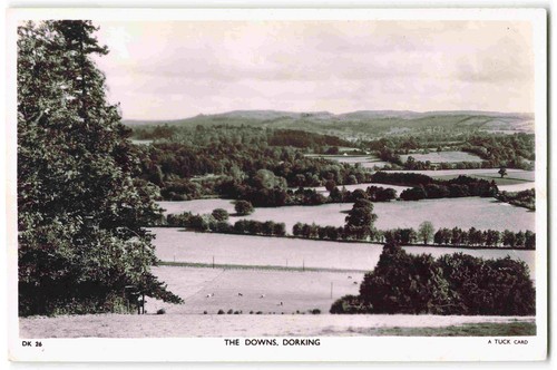 Dorking the downs surrey - dorking,