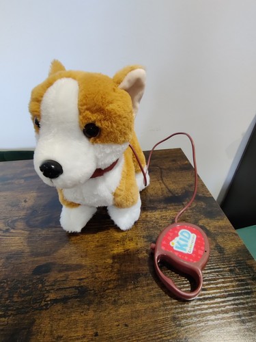 Walking pembroke welsh corgi - pembroke,