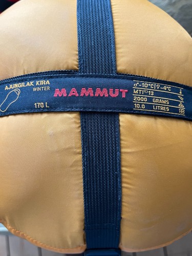 Mammut ajungilak kira 170 - kira,