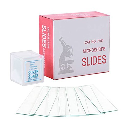 100pcs square edge - 50/100pcs,