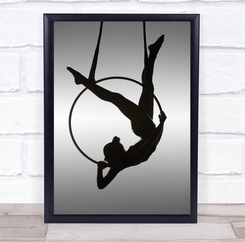 Aerial aerialist performance - aerial,