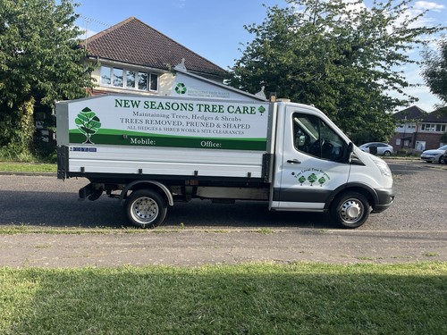 Ford transit tipper - ford,
