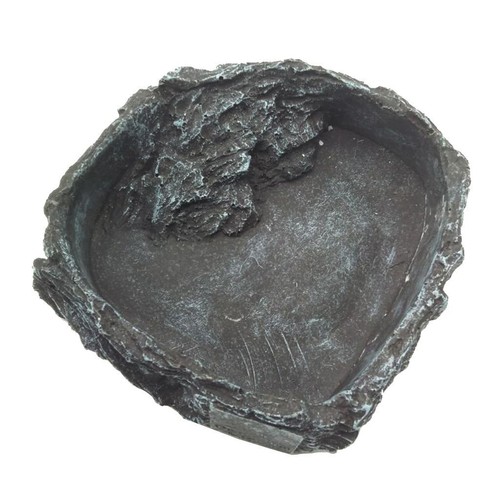 Reptile dish corner feeding - reptile,