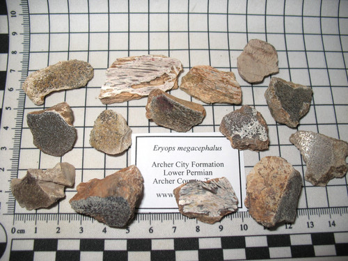 Permian texas red beds - texas, bag