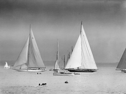 The racing yachts shamrock - yachts,