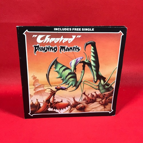 Praying mantis cheated 1980 - mantis, uk