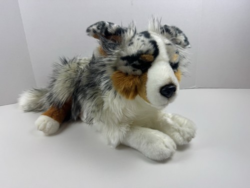 Carl dick australian shepherd - dick,