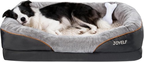 Joyelf large memory - foam, dog