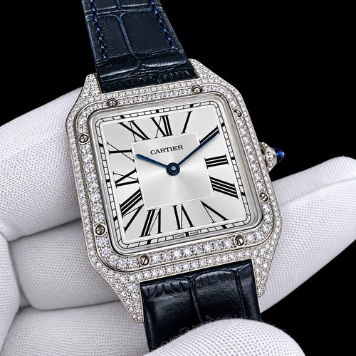 Cartier santos dumont steel - santos,