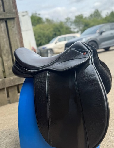 Saddle company dark - company,
