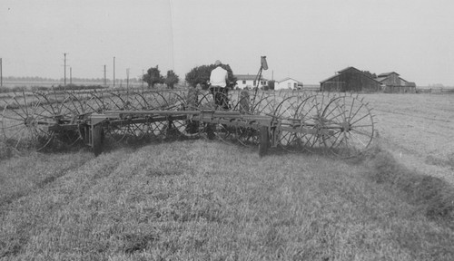 8x10 1948 banta - 8x10,