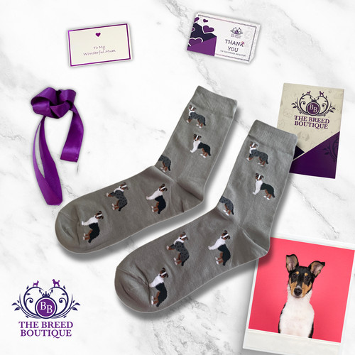 Smooth collie dog socks - collie, fun