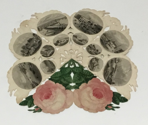 Souvenir rose havana - rose,
