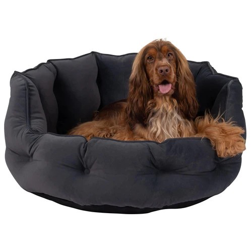 Bunty monarch dog bed small - bunty,