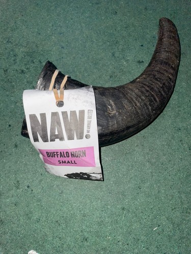 Naw buffalo horn - horn, small