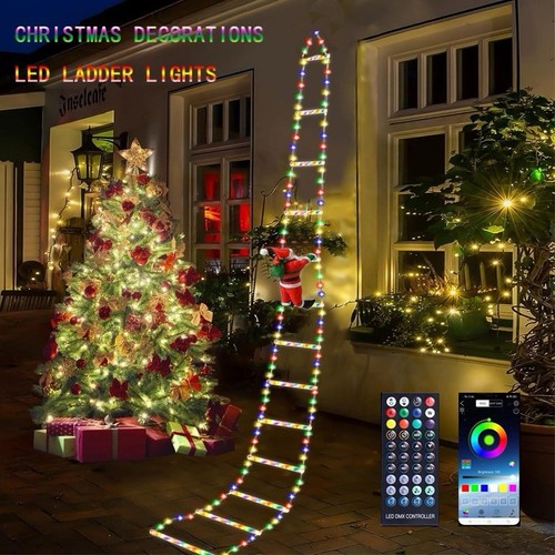 Santa claus ladder - santa,