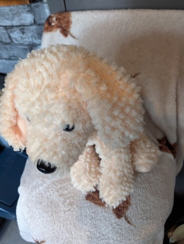 Keel toys curly - toys, dog